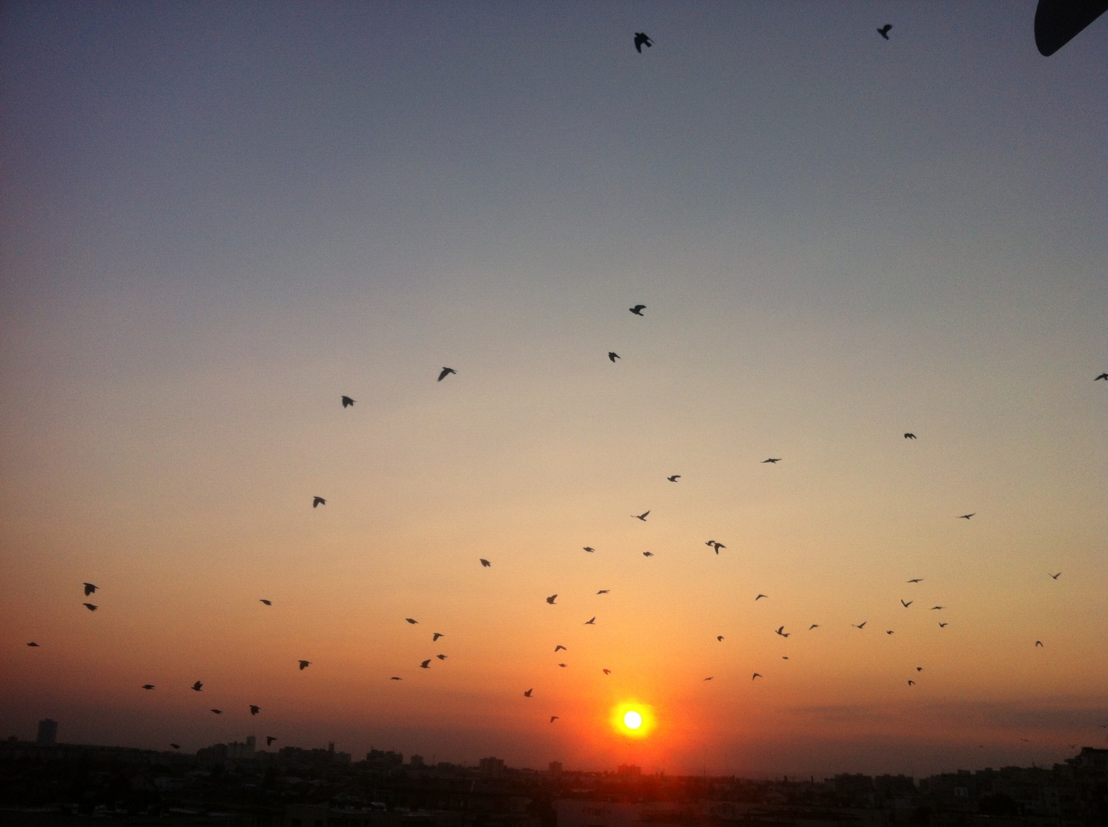 Ciori Ploiesti