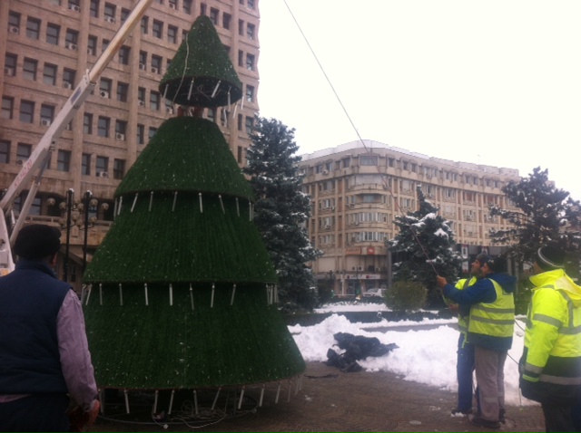 brad craciun centru ploiesti
