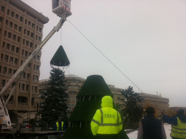 brad craciun centru ploiesti