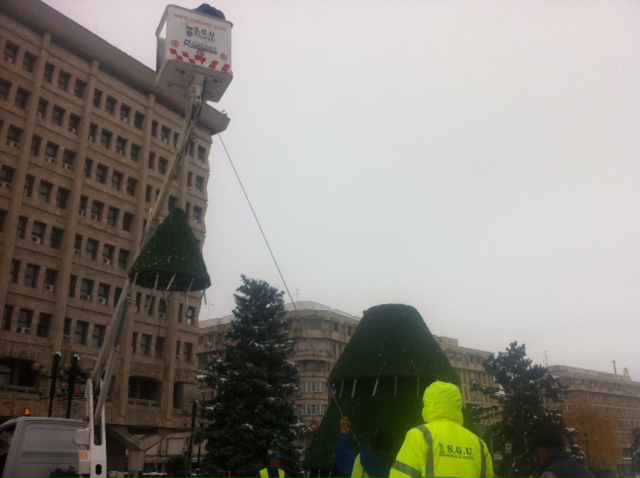 brad craciun centru ploiesti