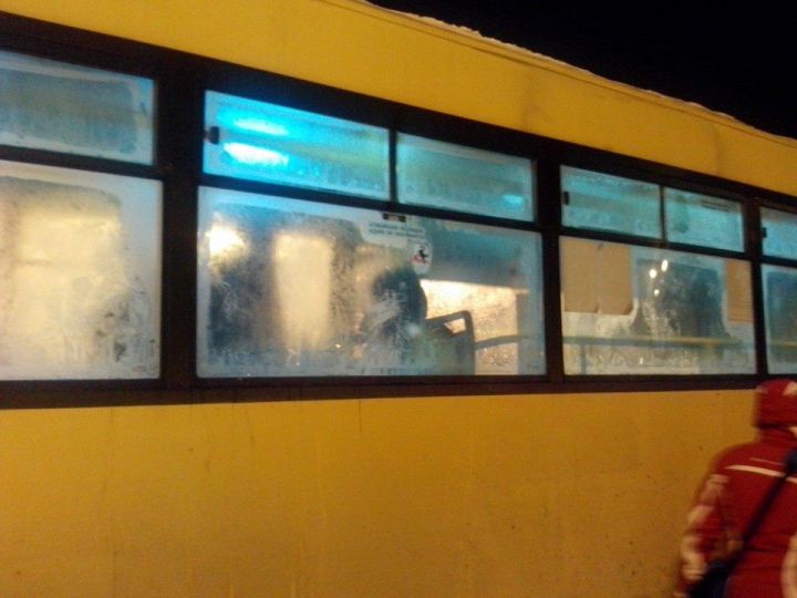 autobuz2