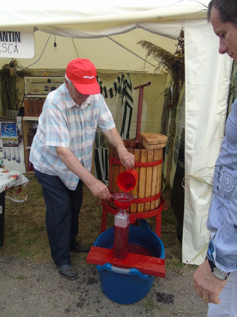 festival-vin-valea