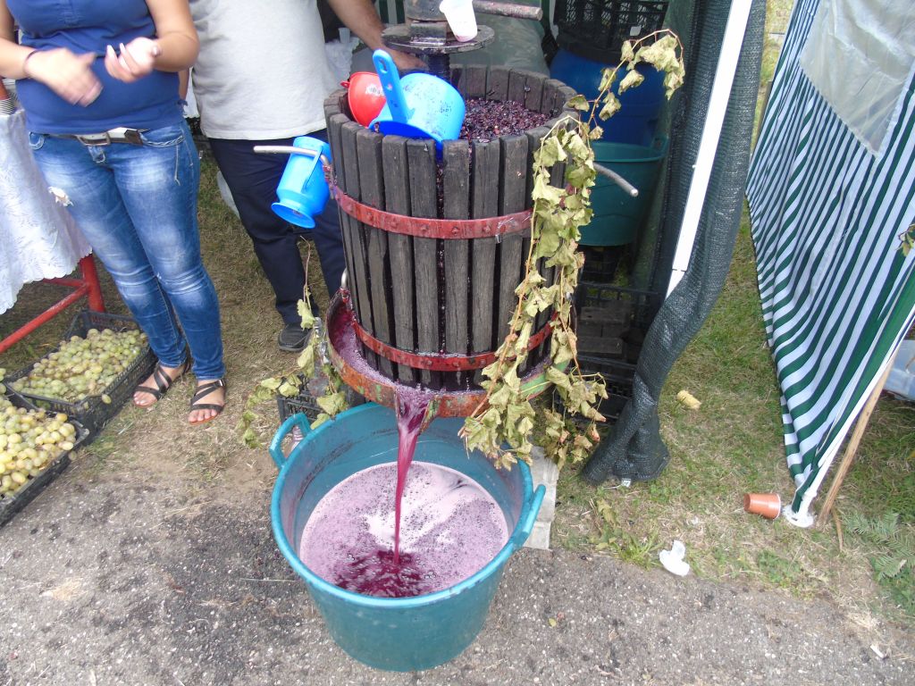 festival-vin-valea2