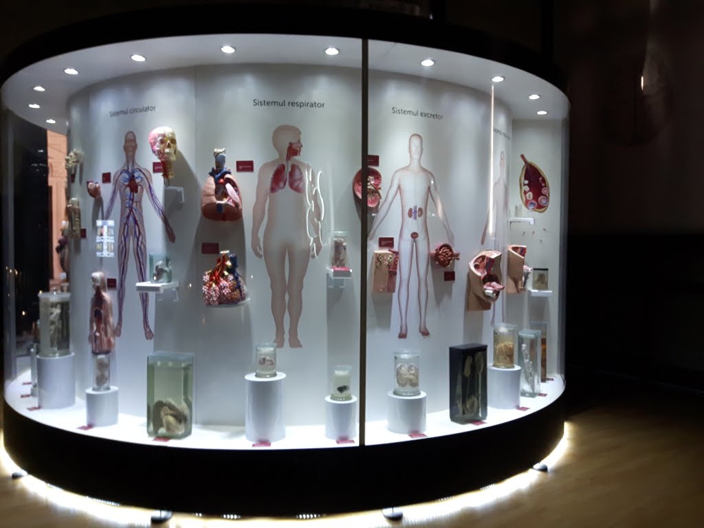 expozitie-muzeu.jpg