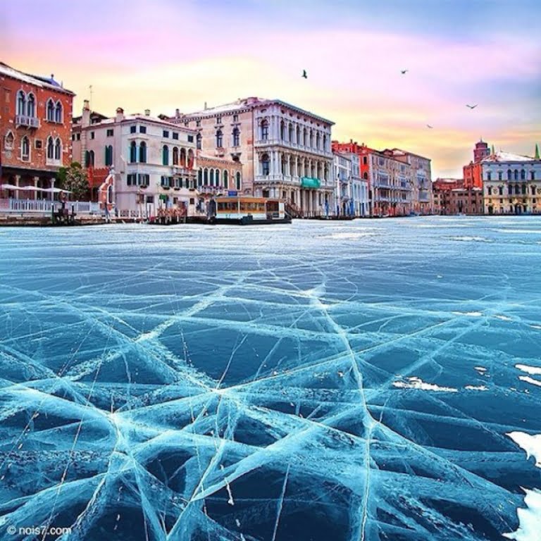 venetia4