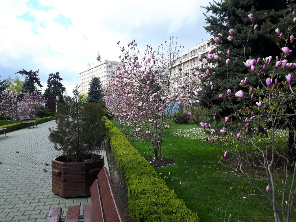 20170408_161320.jpg