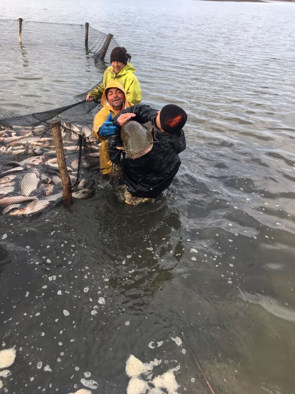 WhatsApp Image 2017-04-11 at 08.57.11.jpeg