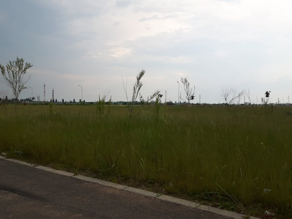20170601_141630.jpg