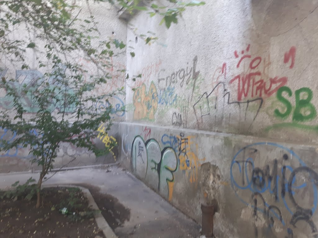 20170621_112753.jpg