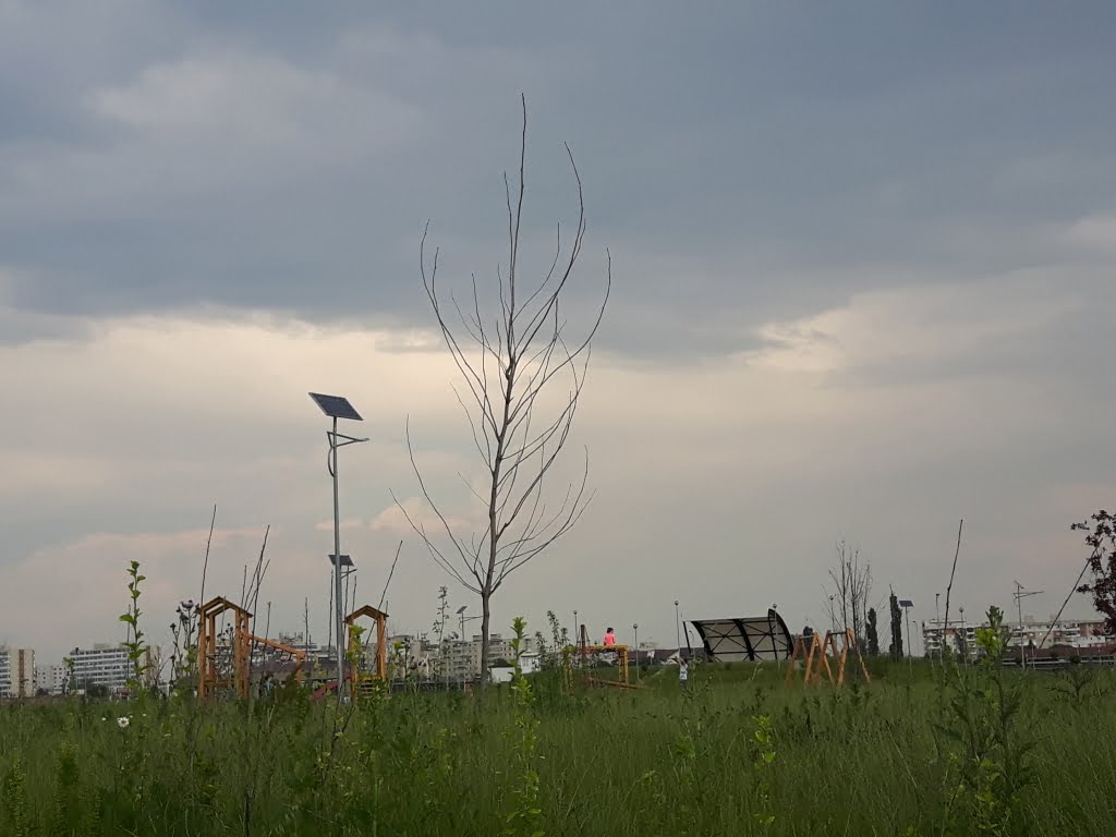 ploiesti-parc-vest.jpg