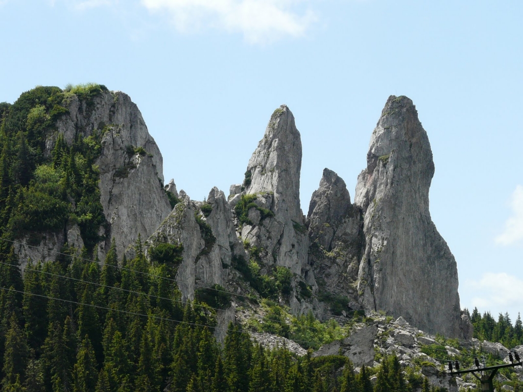 P1030417.JPG