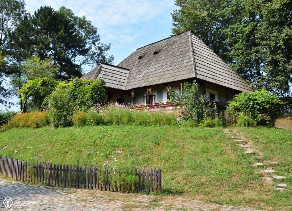 muzeul satului.jpg