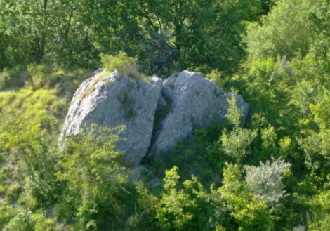 stanci.jpg