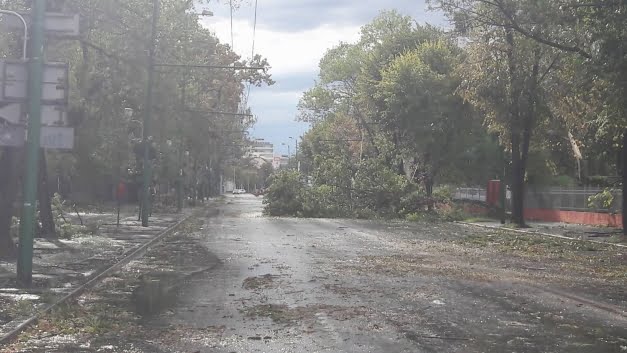 furtuna-timisoara-imagini6.jpg