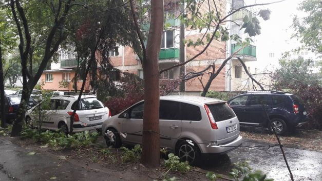 furtuna-timisoara-imagini7.jpg