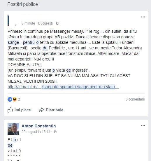 translant-medulaaaaaar.jpg