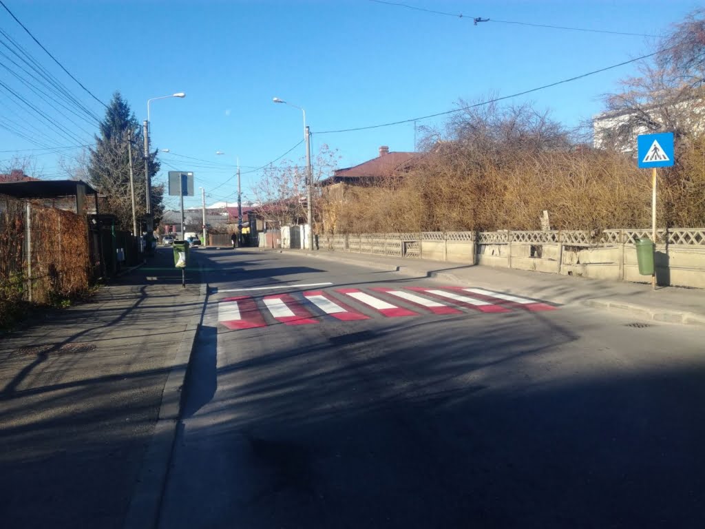 trecere-pietoni-3d-ploiesti10.jpg