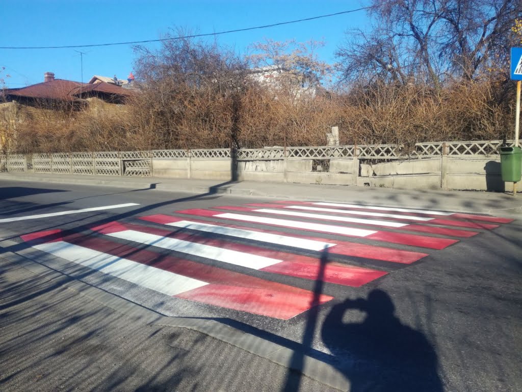 trecere-pietoni-3d-ploiesti2.jpg
