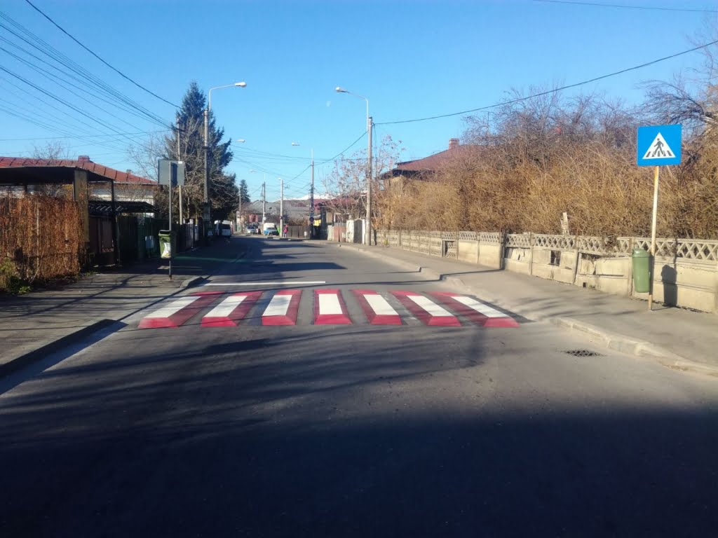 trecere-pietoni-3d-ploiesti9.jpg