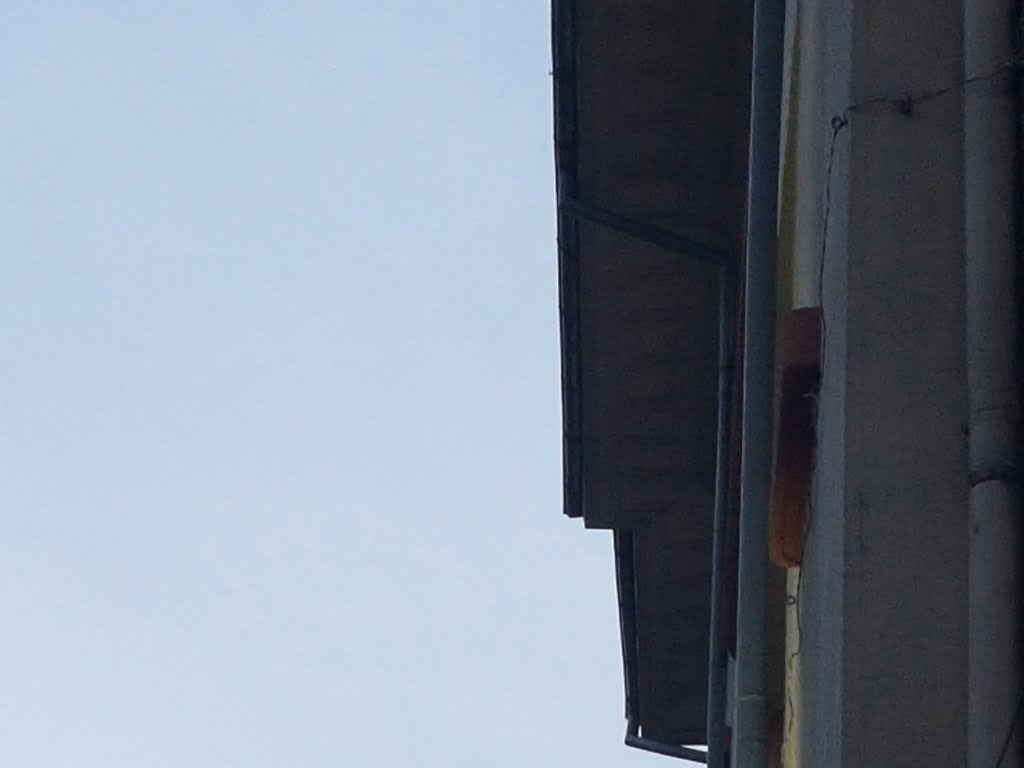 20180519_202826.jpg