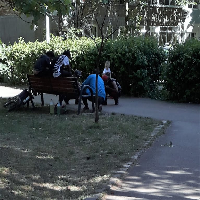 boschetari si parbrizari (1).jpg