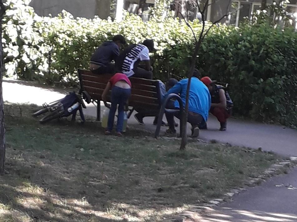 oameni ai strazii si parbrizari (1).jpg