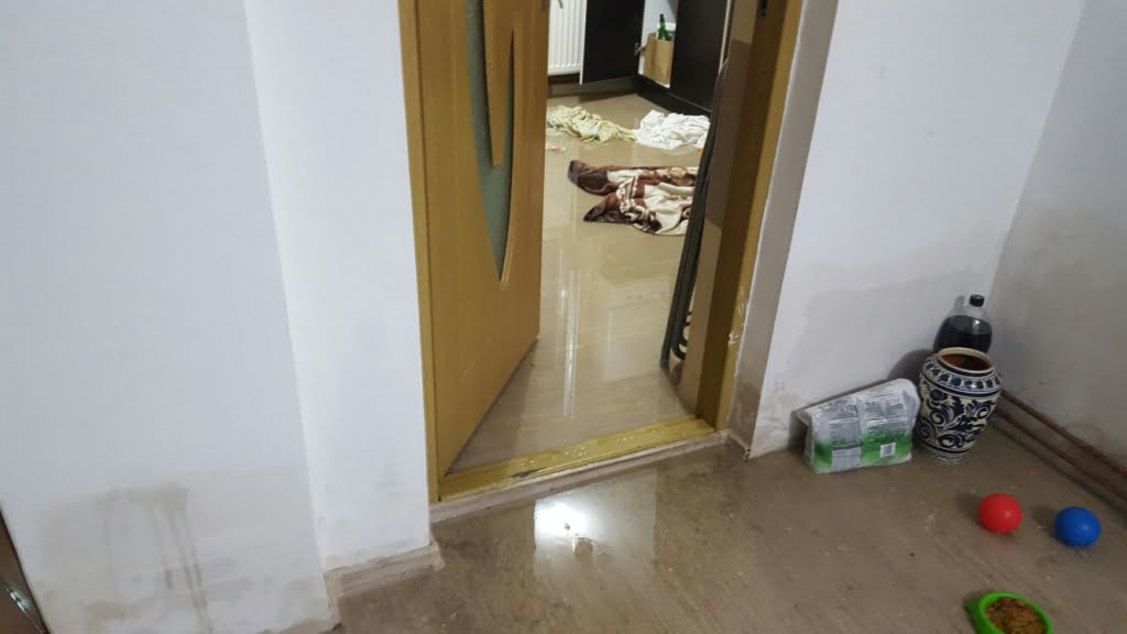 WhatsApp Image 2018-07-10 at 21.24.31.jpeg