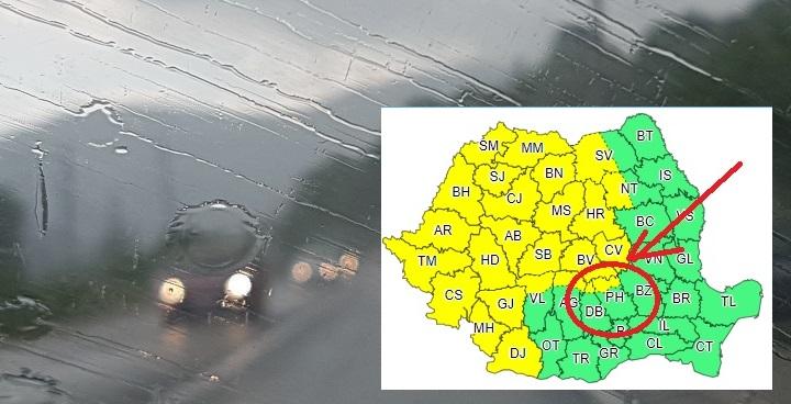 cod-galben-ploi.jpg cod-galben-ploi.jpg