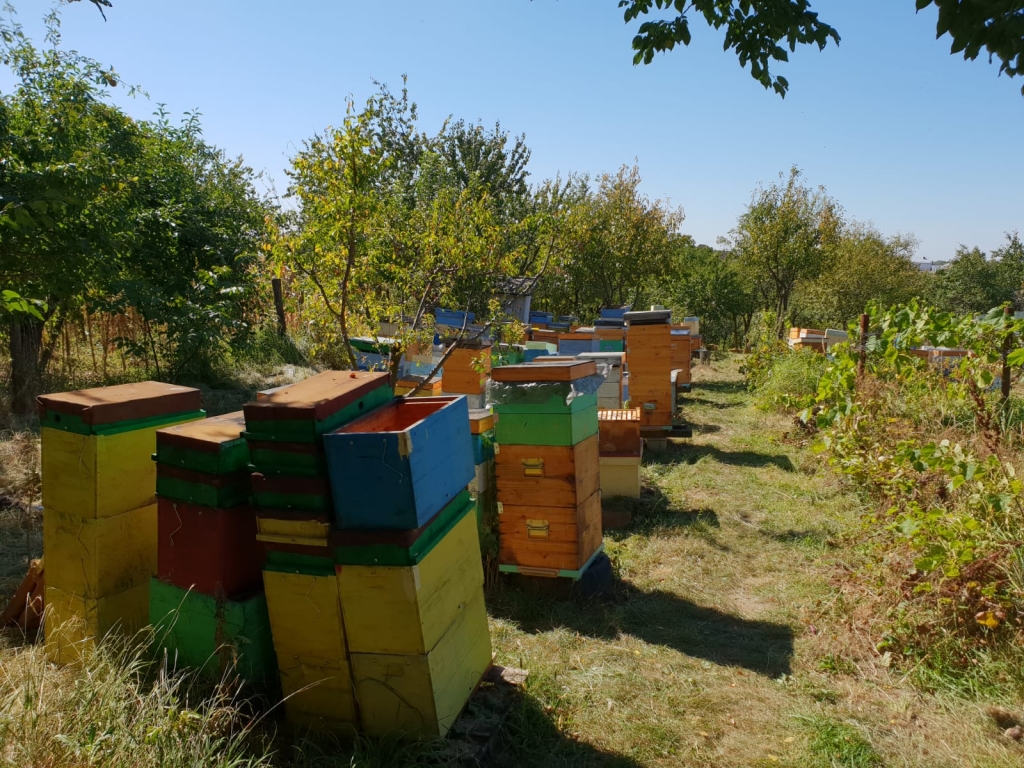 WhatsApp Image 2018-09-20 at 14.53.08 (1).jpeg