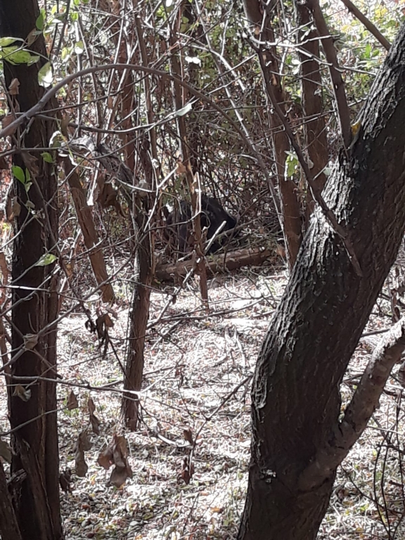 WhatsApp Image 2018-10-18 at 13.27.19 (2).jpeg