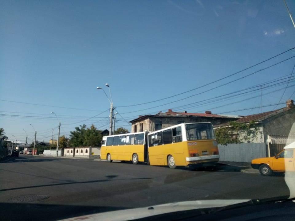 e6f88d92-abb9-4d2f-a0c4-996bf27c55bd.jpg