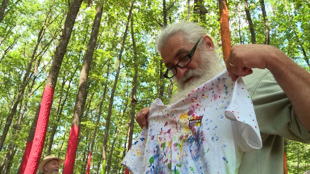 topescu poienari.jpg