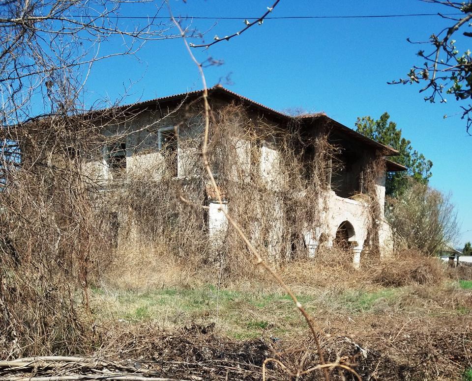 54799121_2389623291283526_7308597679821422592_n (1).jpg