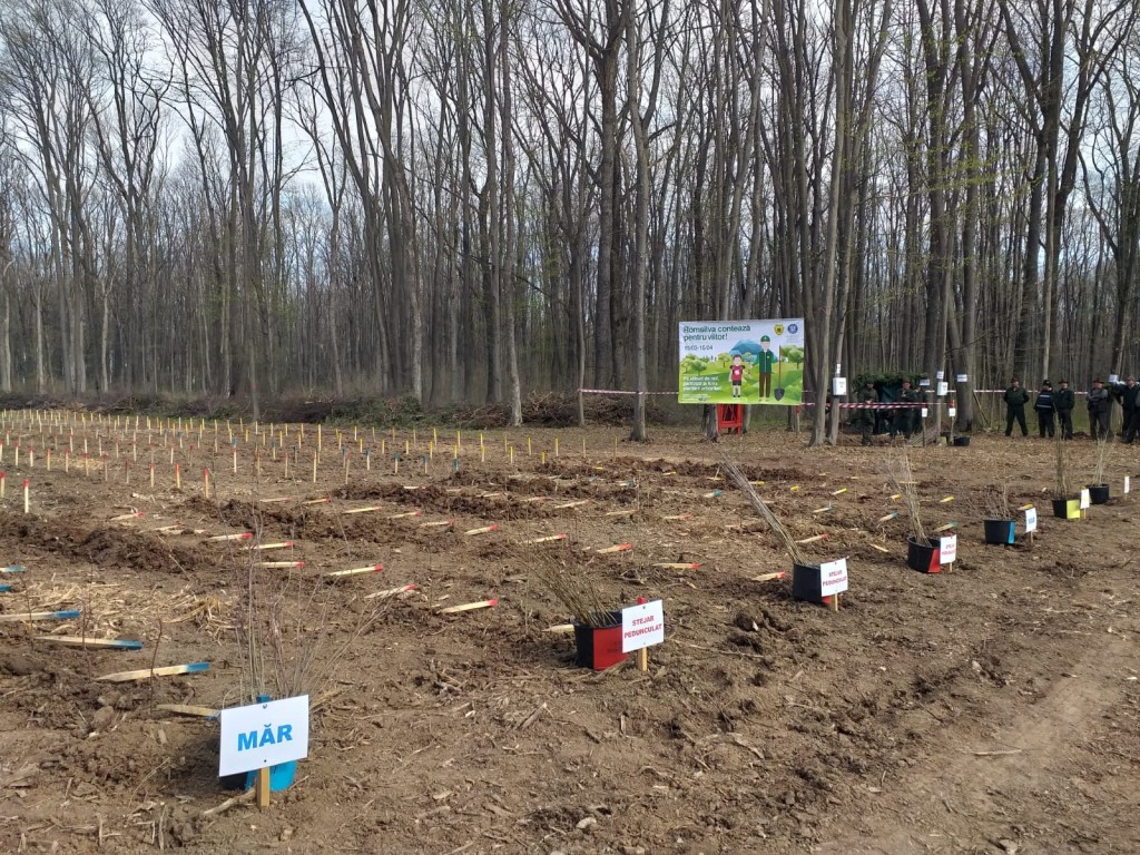 WhatsApp Image 2019-03-27 at 16.01.17.jpeg