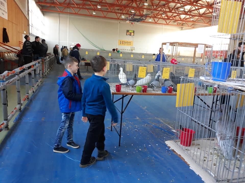 sala sport.jpg