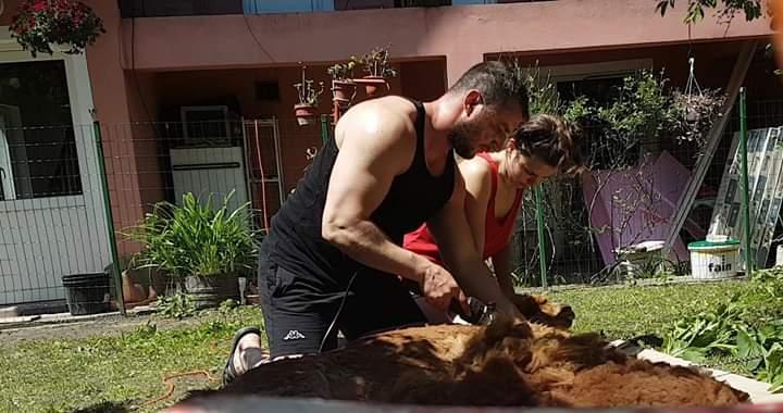 WhatsApp_Image_2019-05-20_at_08.53.37_3b35a.jpeg