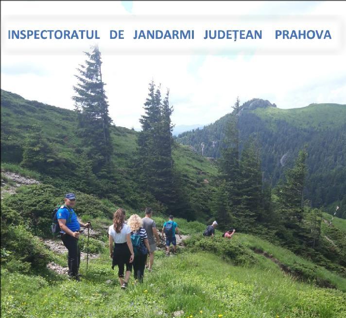 ursi-turisti-jandarmi_84d65.jpg