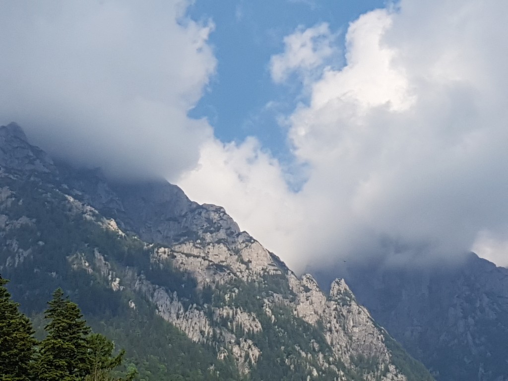 busteni_0d877.jpg