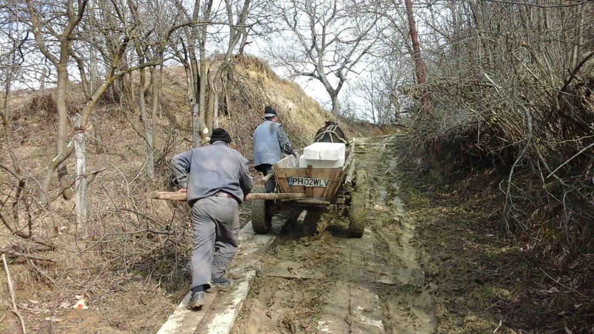 drum-sat-trenu_7c81e.jpg
