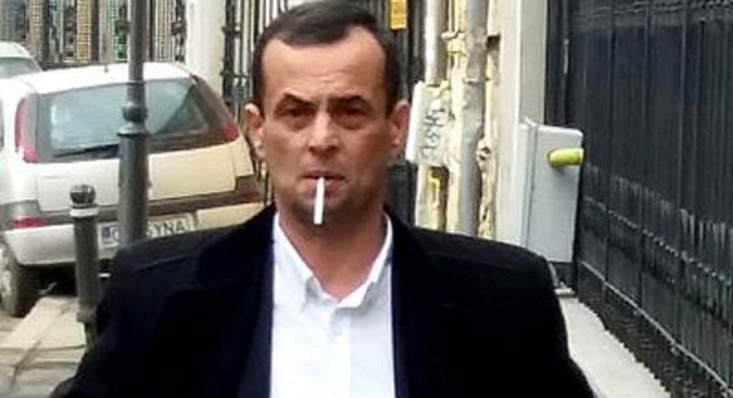 mircea negulescu