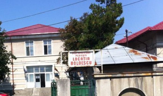 boldescu