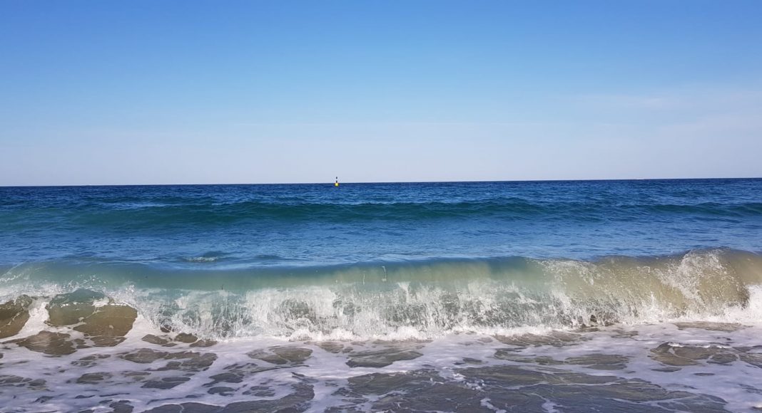 mare