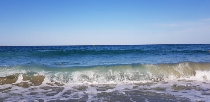mare