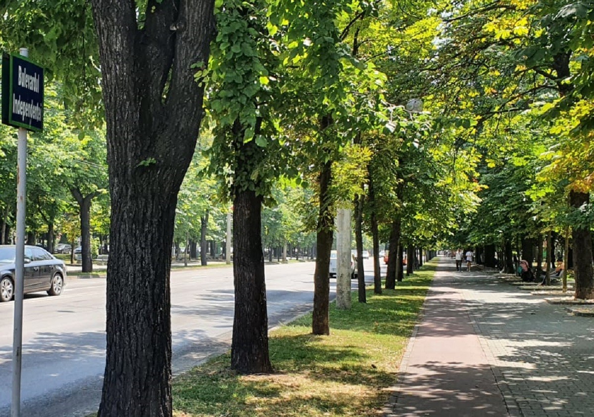 Zonele unde vor fi plantați arbori la Ploiești