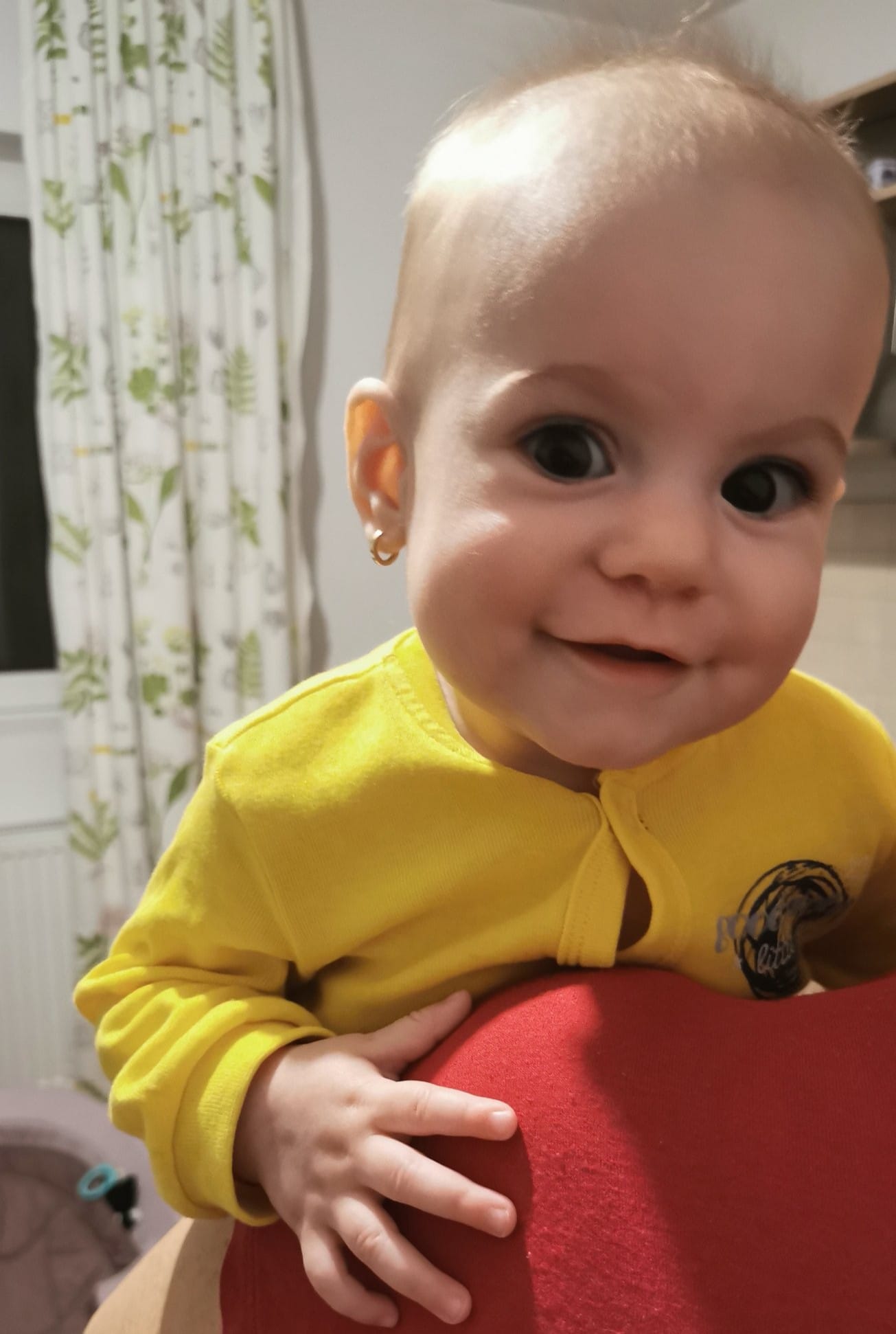 micuța Ana, caz umanitar