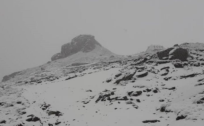 ninsori munte ninsori munte Prahova Bucegi