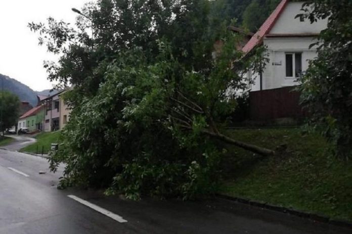 Foto cu caracter ilustrativ