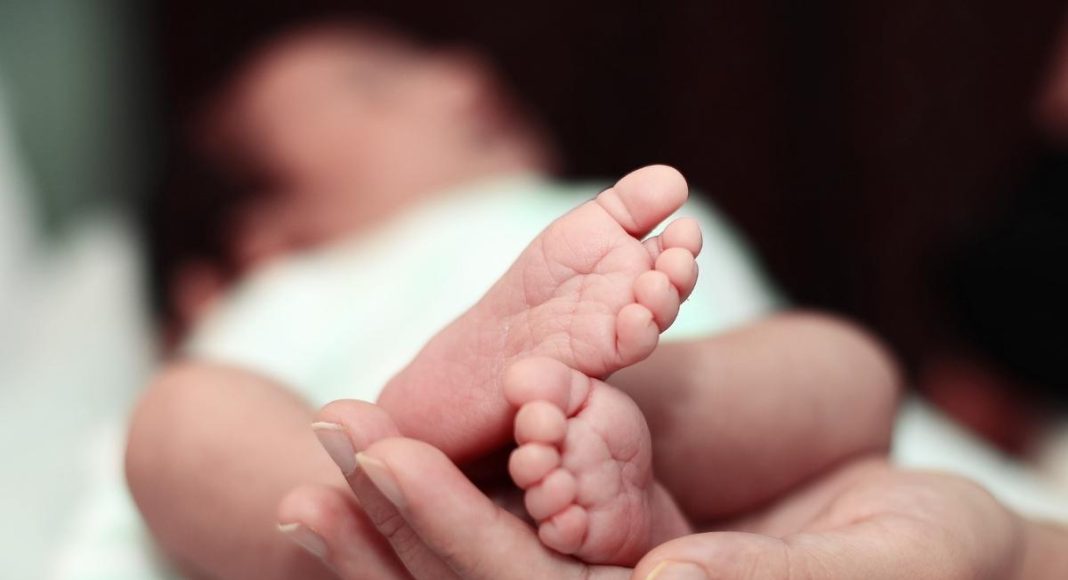 concediu, naștere, concediu paternal, zile libere, zile de concediu, curs puericultură