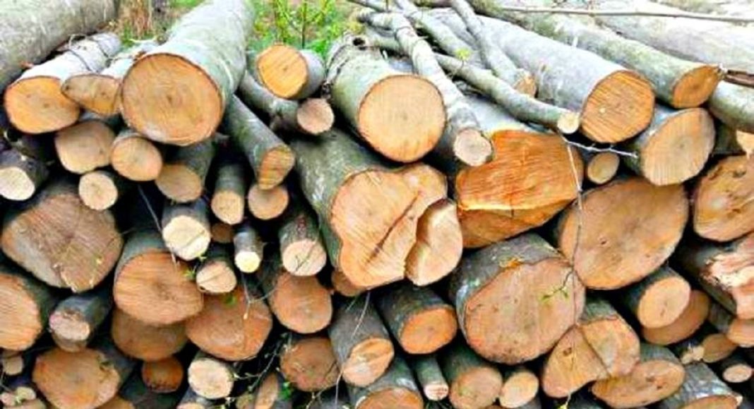 Guvern, decizii, plafonare, preț, 500 lei, metrul cub, lemn de foc