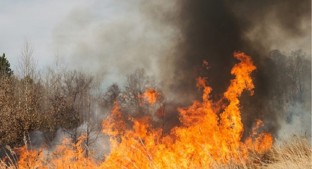 incendiu vegetatie uscata